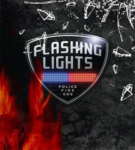 Flashing Lights: Police, Firefighting, Emergency Services Simulator - Chief Edition [Build 170326-1 + DLC's] (2023) PC От FitGirl
